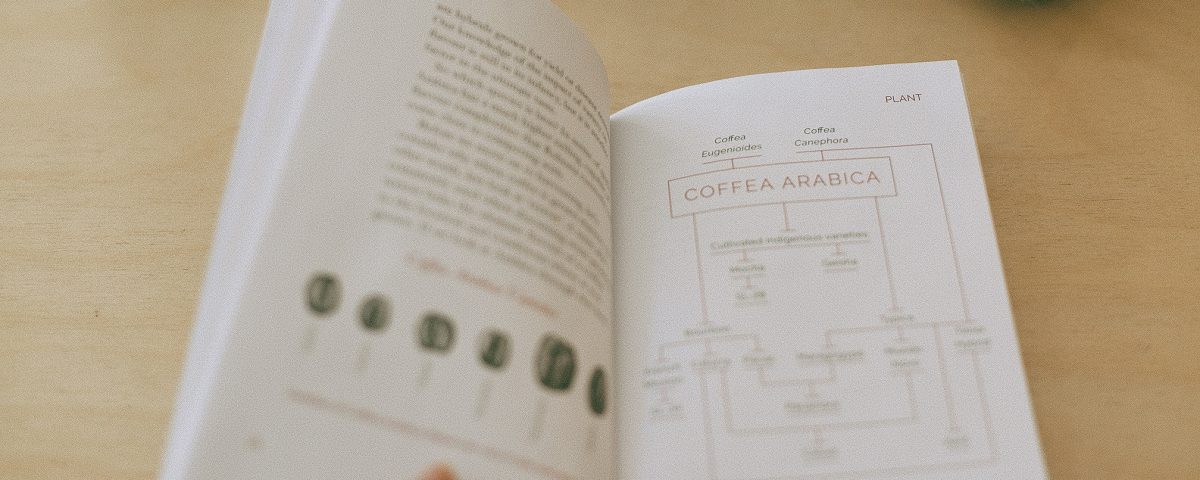 Turkish to Arabic Translation with a Legal Sworn Translator in Antalya